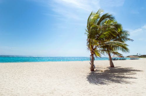 Caribbean Beach