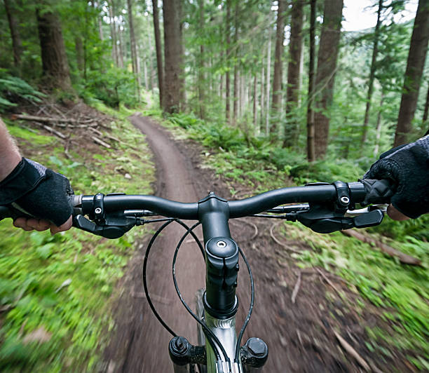 Mountain Bike Trail in Ocho Rios