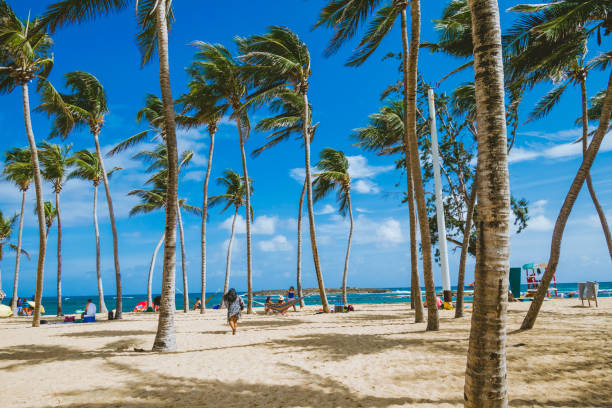 Puerto Rico Beach