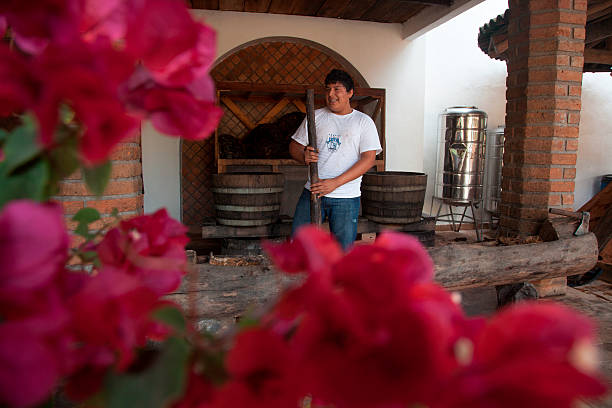 Tequila making demonstration at Leyva boutique tequila distillery, near Puerto Vallarta, Jalisco, Mexico