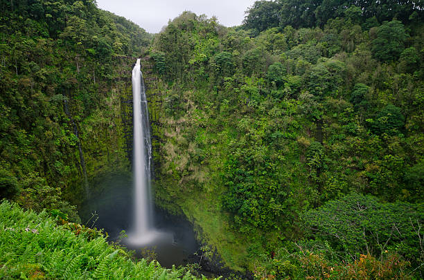 Akaka Waterfall 