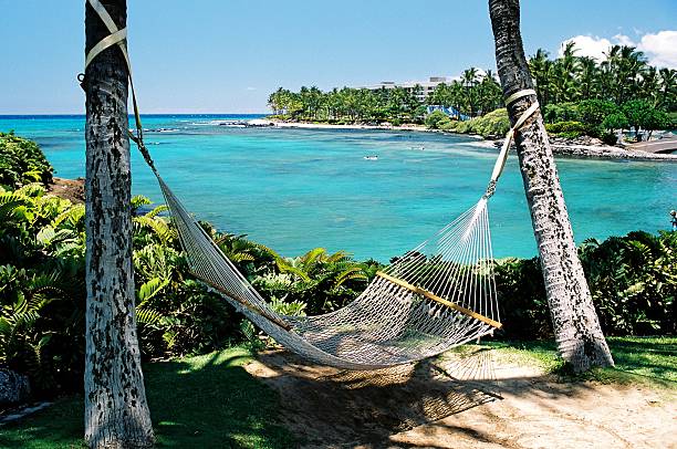 Maui Hawaii hammock on tropical turquoise resort hotel bay 