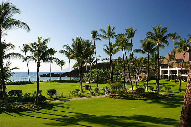 Maui resort grounds 