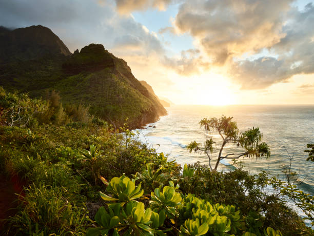 Kauai, hiking trail at Na Pali Coast 