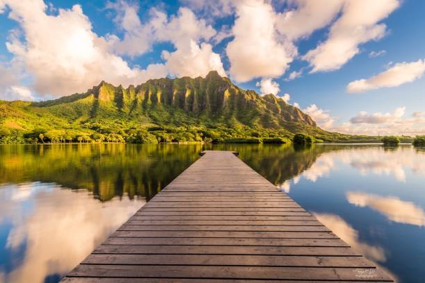 Pier Over Lake Honululu