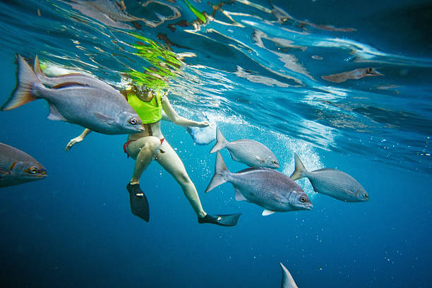 Snorkeling in hawaii